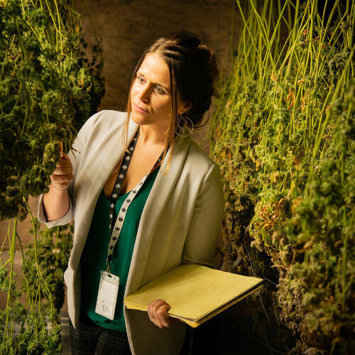 Jana Weltzin, Esq. Attorney JDW, LLC